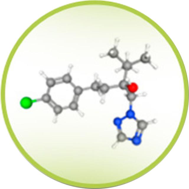 Icon of TEBUCONAZOLE (90g/l)