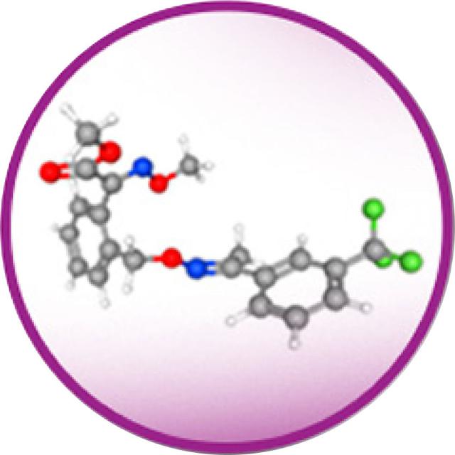 Icon of TRIFLOSXISTROBIN (75g/l)