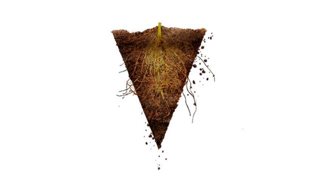 Icon of Proteção do sistema radicular