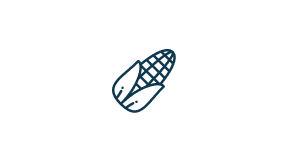 Icon of +5 sacas/ha de aumento médio de produtividade