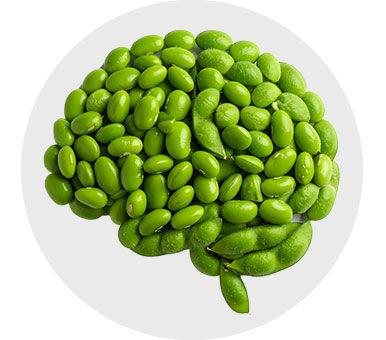Icon of Genética e biotecnologia de última geração