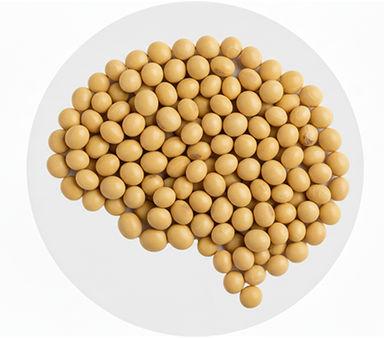 Icon of Genética e biotecnologia de última geração