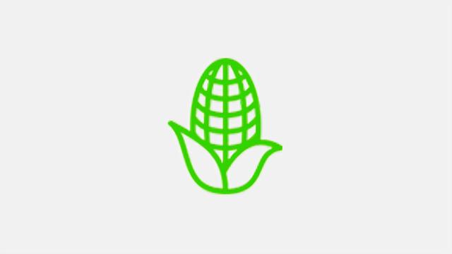 Icon of Plantar um dos híbridos elegíveis. Consulte-nos.