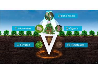 Icon of Alta performance