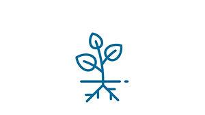 Icon of Alta eficiência de cobertura e absorção