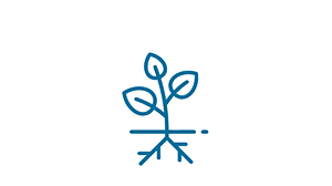 Icon of Alta eficiência de cobertura
e absorção